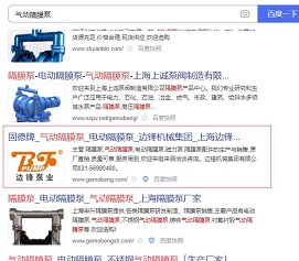 泵業網站排名優化效果